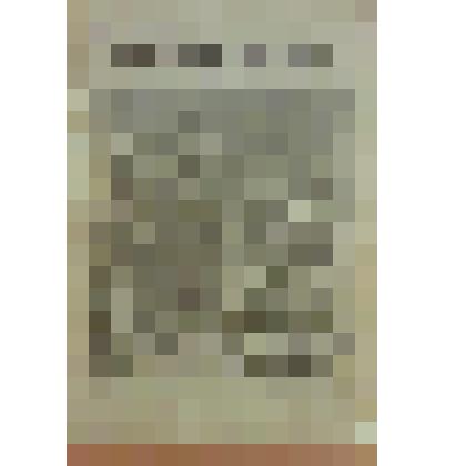 Книга. Свешникова Е. Франциск Ассизский [Text]. №11. / Рисунки А. Кившенко / Издательство в книге не указано. - М., 1898 (Типо-литография И.Е.Ермакова)