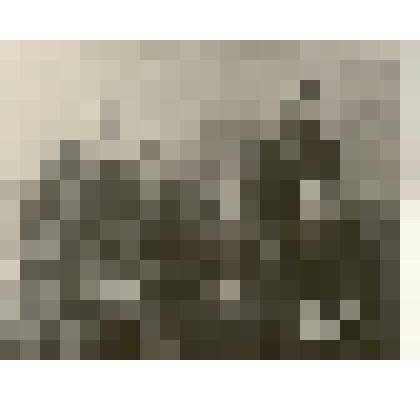 Фотография: Климов, Ралдугина, Ларин, Комков, Зайкова, Пимонов