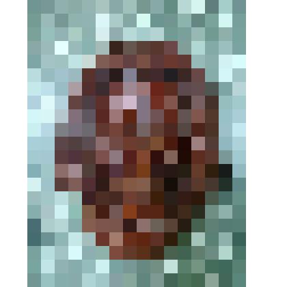 Барельеф "Энштейн"