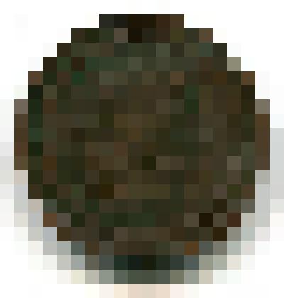 Монета металлическая достоинством 2 копейки, 1860 г