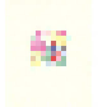 Гранат и цветы