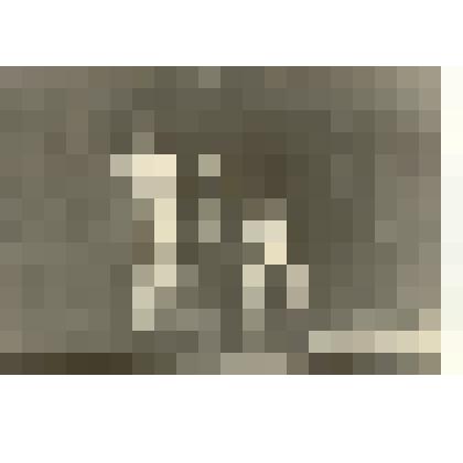 Фотография: бухгалтер совхоза "Октябрь" Ермолаева Лидия Александровна и пилорамщик Новоселов Александр на районном смотре художественной самодеятельности в Доме культуры г.Камень-на-Оби