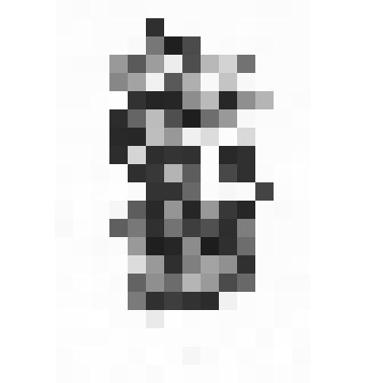 Гравюра «Парящая над деревьями птица»