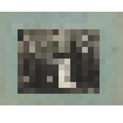 Фотография. Семья Космаковых