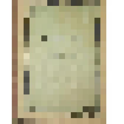 Книга  "Ревизор"