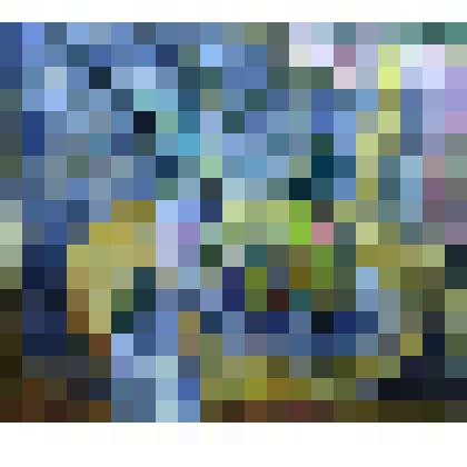 Агава и ананас