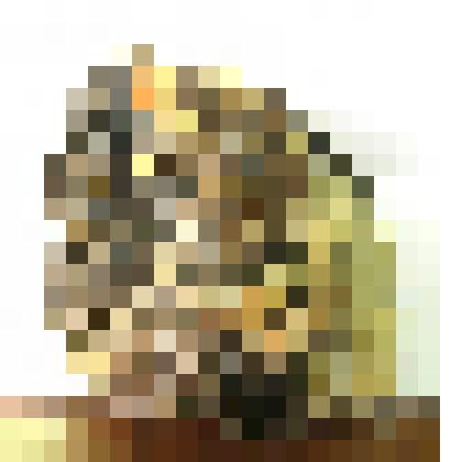 Касситерит, турмалин в кварц-полевошпатовой породе