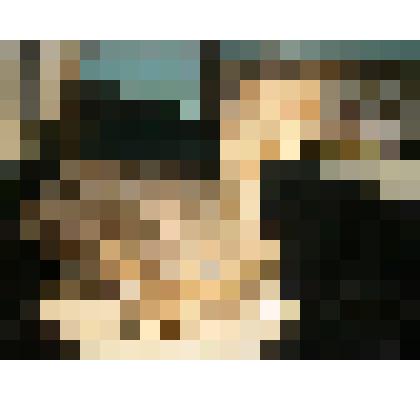 Шилохвость. Пластинчатоклювые