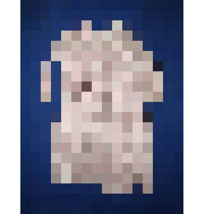 Платье детское белое в красную полоску с поясом