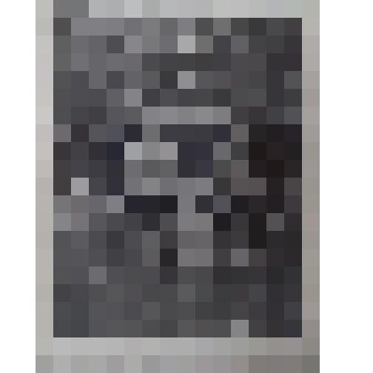 Фотопортрет парный. Двое отдыхающих Дома отдыха "Бобрик-Донской" в чаше фонтана