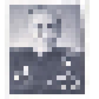 Фотография: подполковник Пронин Иван Васильевич