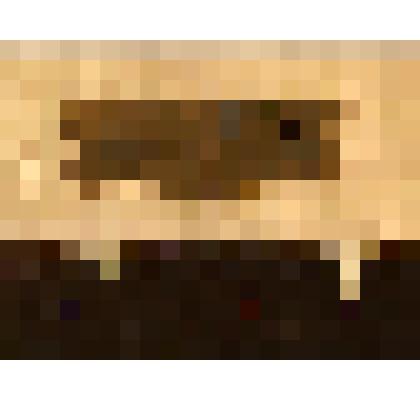 Пластина ножевидная