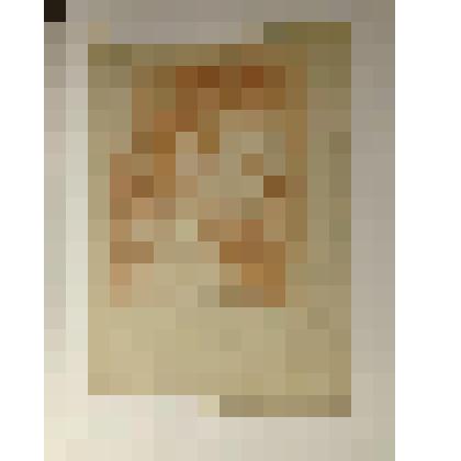 Голова молодой женщины. Коллекция И.С. Зильберштейна, гравюра