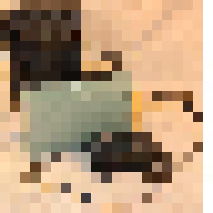 Радиостанция переносная «Сирена 23РТН»