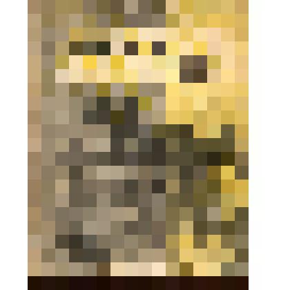 Сказка о тенях. Рисунки Т. Лебедевой. - Москва: ОГИЗ «Молодая гвардия»,1931