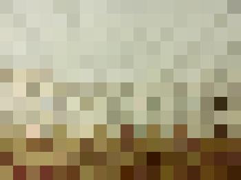 Околотка-подзор