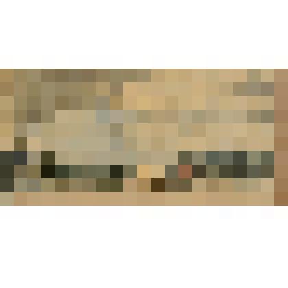 Король на прогулке