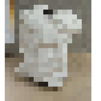 Голова раба