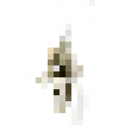 Кость скелета бизона