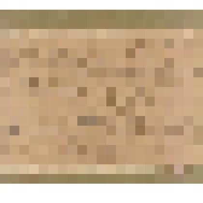 Документ. Образец новопунического письма. Собрание канонов. Надпись с посвящением Ваалу Хаммону из Альтибура в Алжире. II  в. до н. эры и I в. н. э