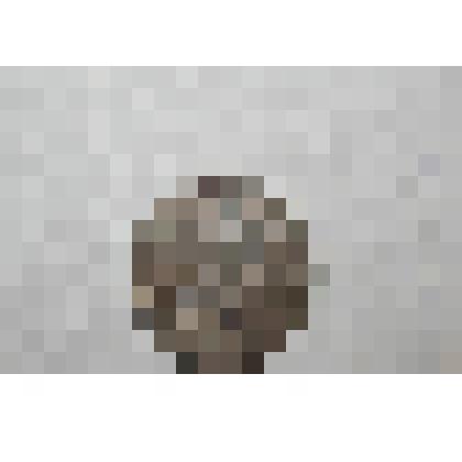 Монета. 10 копеек