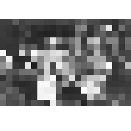 Фотография. Юбилейные Шукшинские чтения. Попова Елена Егоровна, Зиновьева Наталья Макаровна