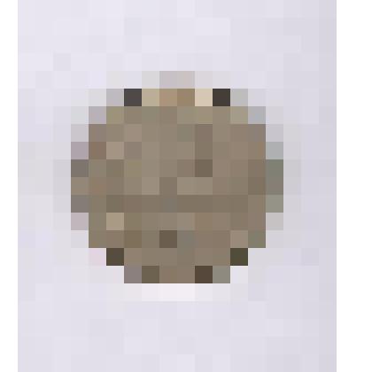 Монета достоинством 15 копеек 1983 года