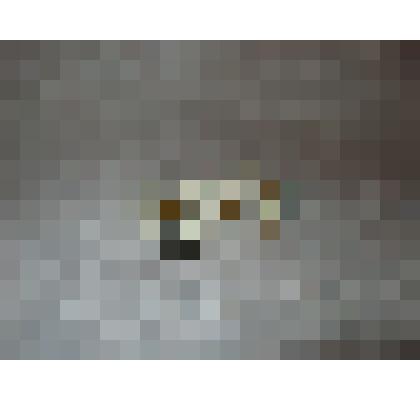 Бинокль Галилея театральный (БГТ)