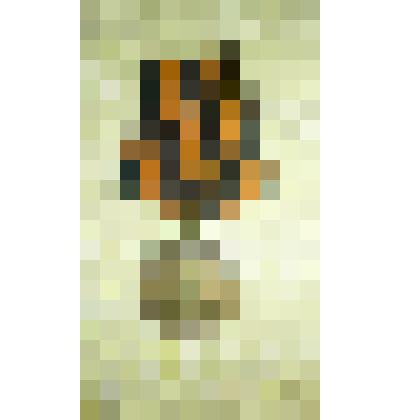 Медаль "За победу над Германией в Великой Отечественной войне 1941-1945 гг."