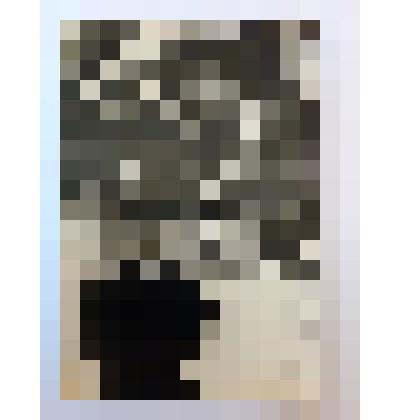 Фото любительское. Слугачев Н.И. со своим школьным другом Ивановым Павлом