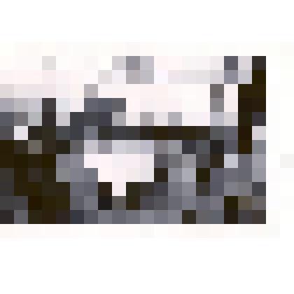 Фотография: члены комитета содействия Сталинского Р.В.К. г.Баку