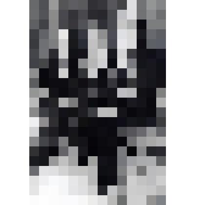 Фотография групповая. Винокуров Г.А