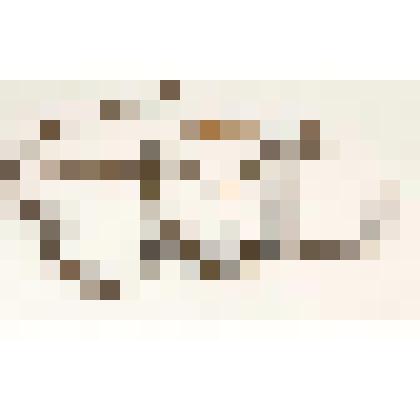 Оголовь с удилами