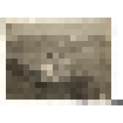 Ф/чб. Сиротина М.И. с дочкой Ксенией и коллегой на отдыхе в санатории "Бимлюк". Анапа. 1934