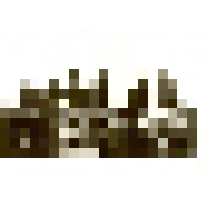 Фотография: проводы призывников в армию