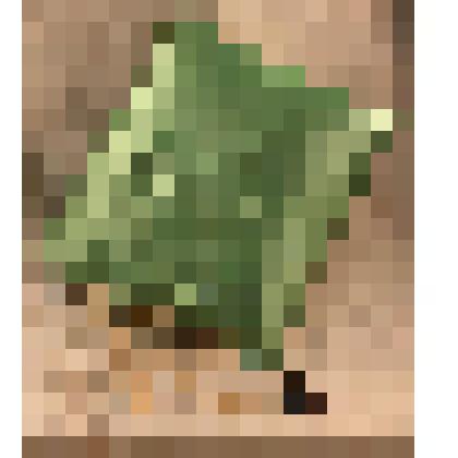 Радио-подушка, из коллекции бытовых вещей семьи Бугаенко Павла Андреевича, профессора филологического факультета Саратовского государственного университета