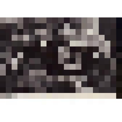 Фотография. Яковлев Ю.Я., Кассиль Л.А., Богданов Н.В., неизвестные