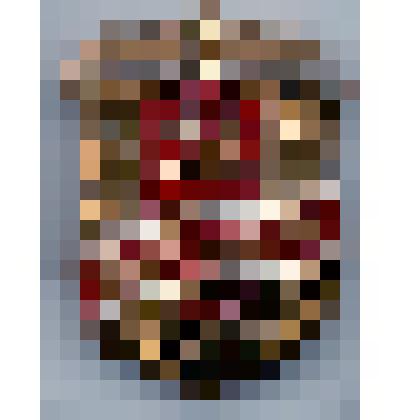 Значок нагрудный "Дружинник"