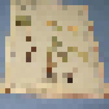 Ботаническая коллекция. Купальница, на гербарном листе, ст. Сон у подножья горы с северо-востока