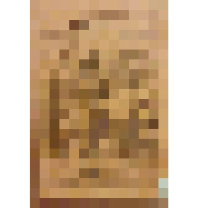 Книга. Семенов С.Т. Два брата [Text] / Рассказ крестьянина С. Т. Семенова / Издательство в книге не указано. - М. : Издательство "Посредник" (№ 47), 1893 (Типография И.Я.Полякова)