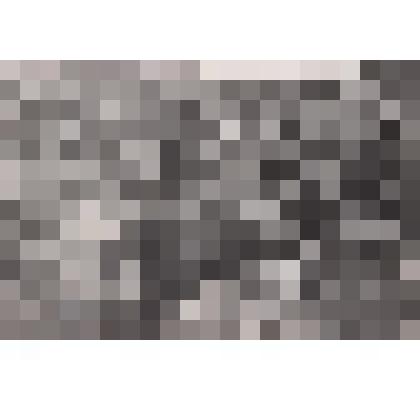 Фотография "Контр-адмирал В. Г. Кичев (второй слева) на воскреснике"