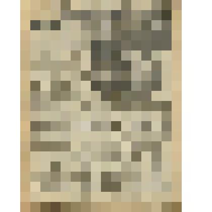 Газета. "Красный кавалерист" № 31