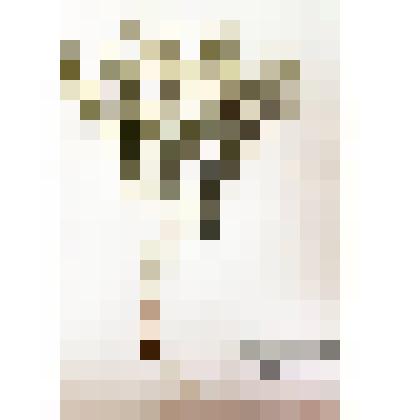 Гербарий
Клоповник мусорный