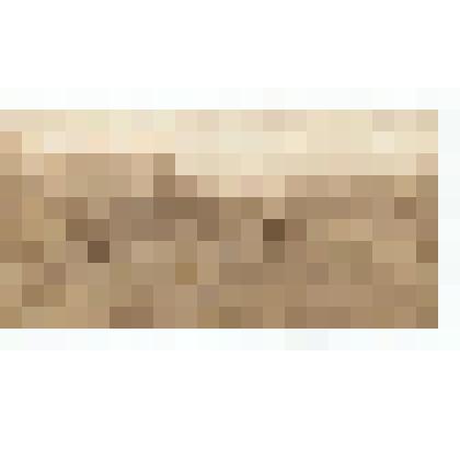 Ф/чб. Кавалерия красноармейцев на Коммунарной площади г. Энгельс (слева - особняки, дом Правительства АССР НП, вдали - каланча). 1930-е