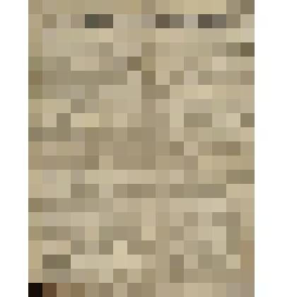 Газета. Русское знамя. № 231 (2 л.;)