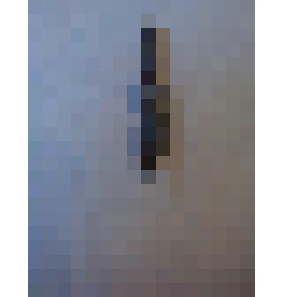 Перо с изображением Л.Н.Толстого