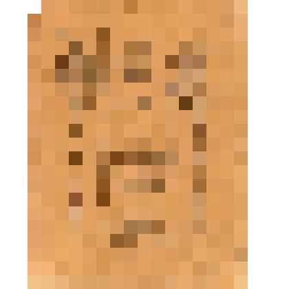 Благодарность за освобождение г. Праги.  Логинова В. Т., СССР, 1945 г