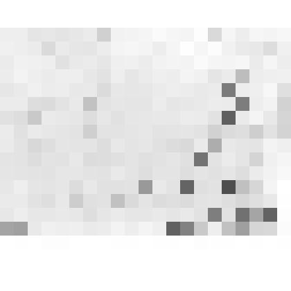 Фотография. Ветераны 219 ИКСД