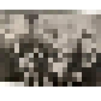 Фотопортрет групповой. Краснов З.А. на праздновании дня Победы в Великой Отечественной войны