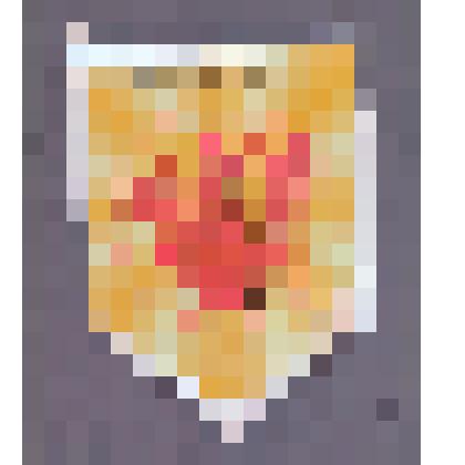 Вымпел «17 Елизовская осень»